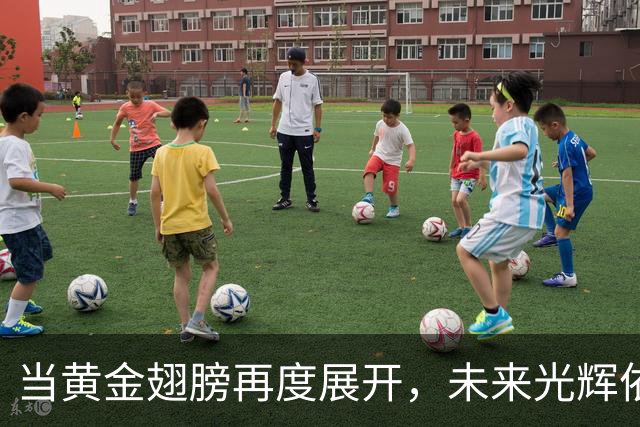 当黄金翅膀再度展开，未来光辉依旧灿烂